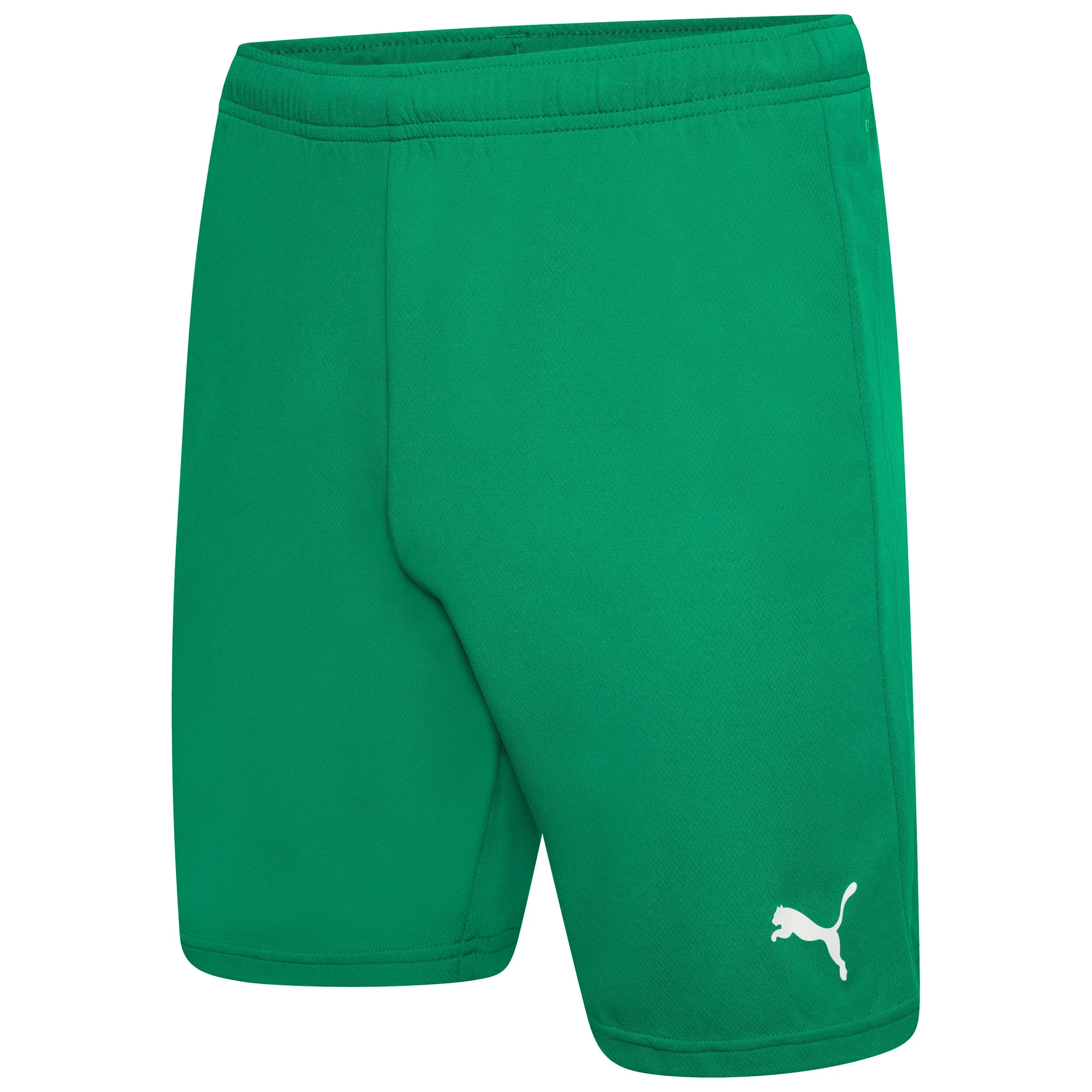 AO Puma Football Shorts