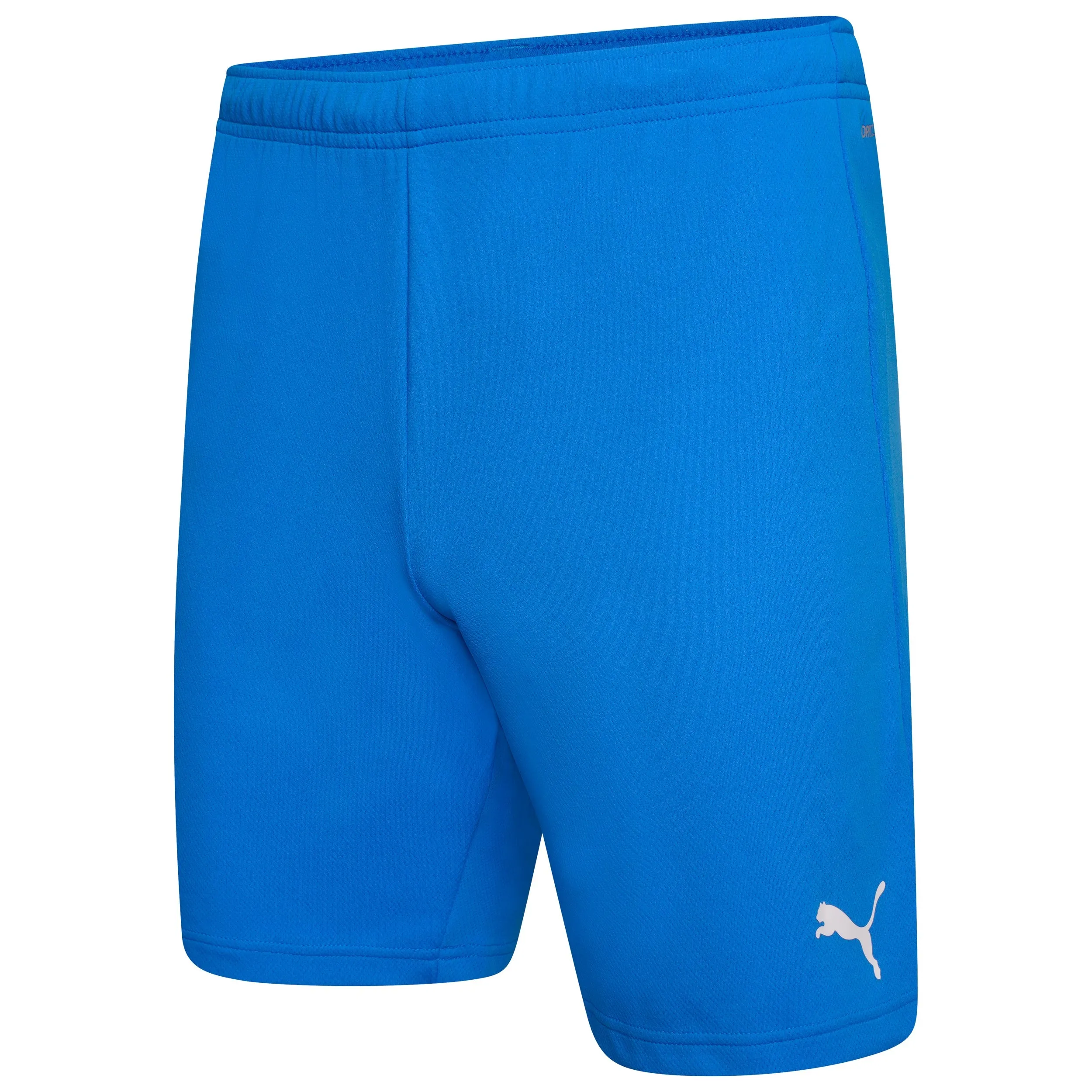 AO Puma Football Shorts