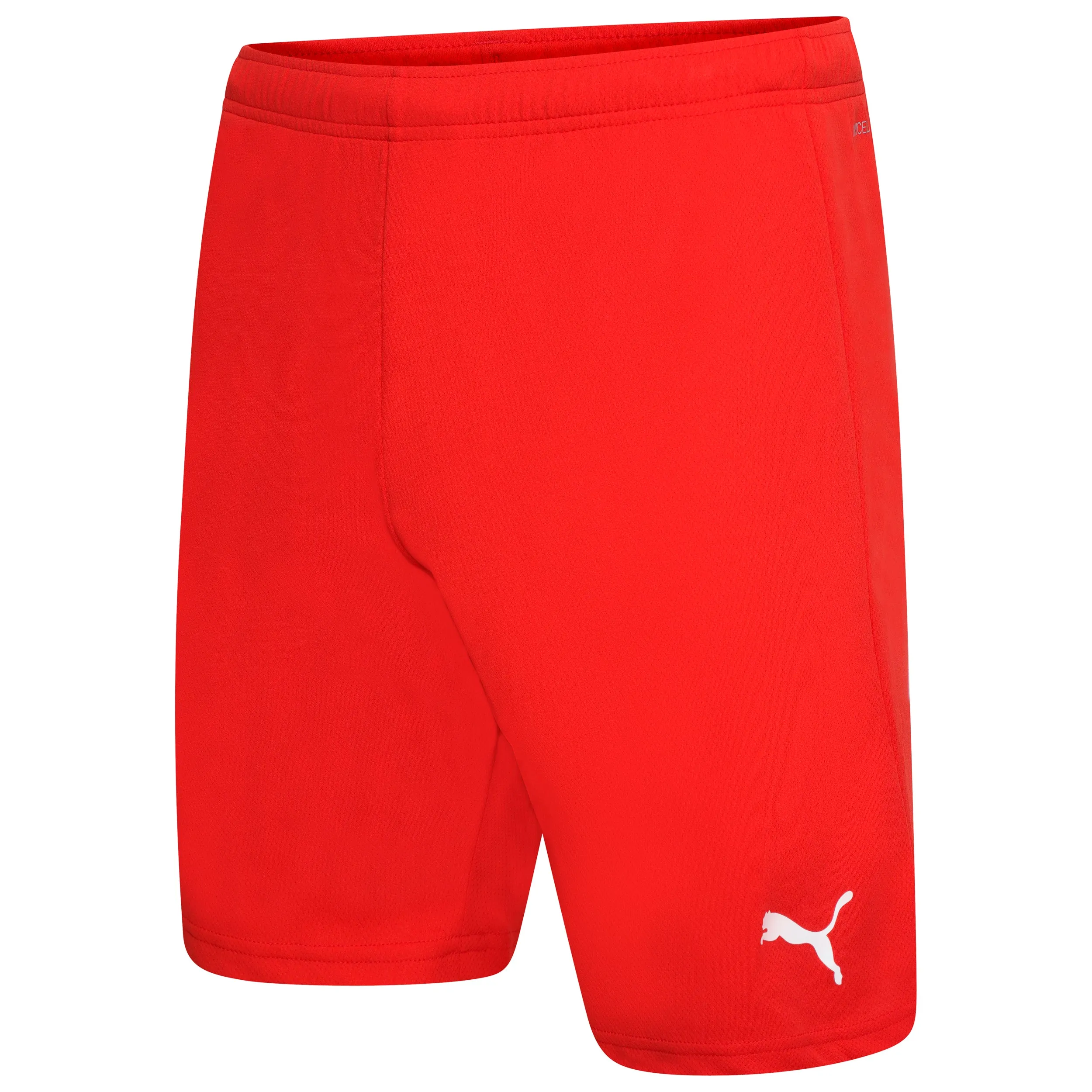 AO Puma Football Shorts