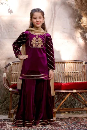 Embroidered Velvet Plazo Suit | MEHRU | P3096