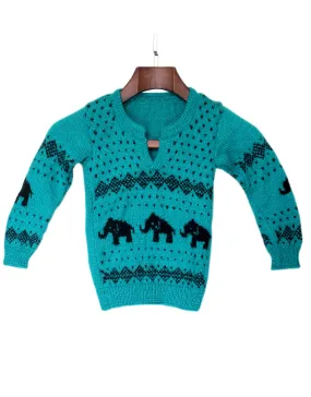 Handmade Woonie Knitted Graminarts Full Sleeve Pullover For Baby Boy- Jungle