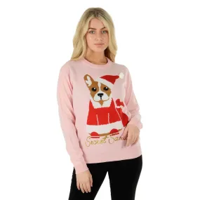 Ladies Secret Santa Christmas Jumper Santa Dog