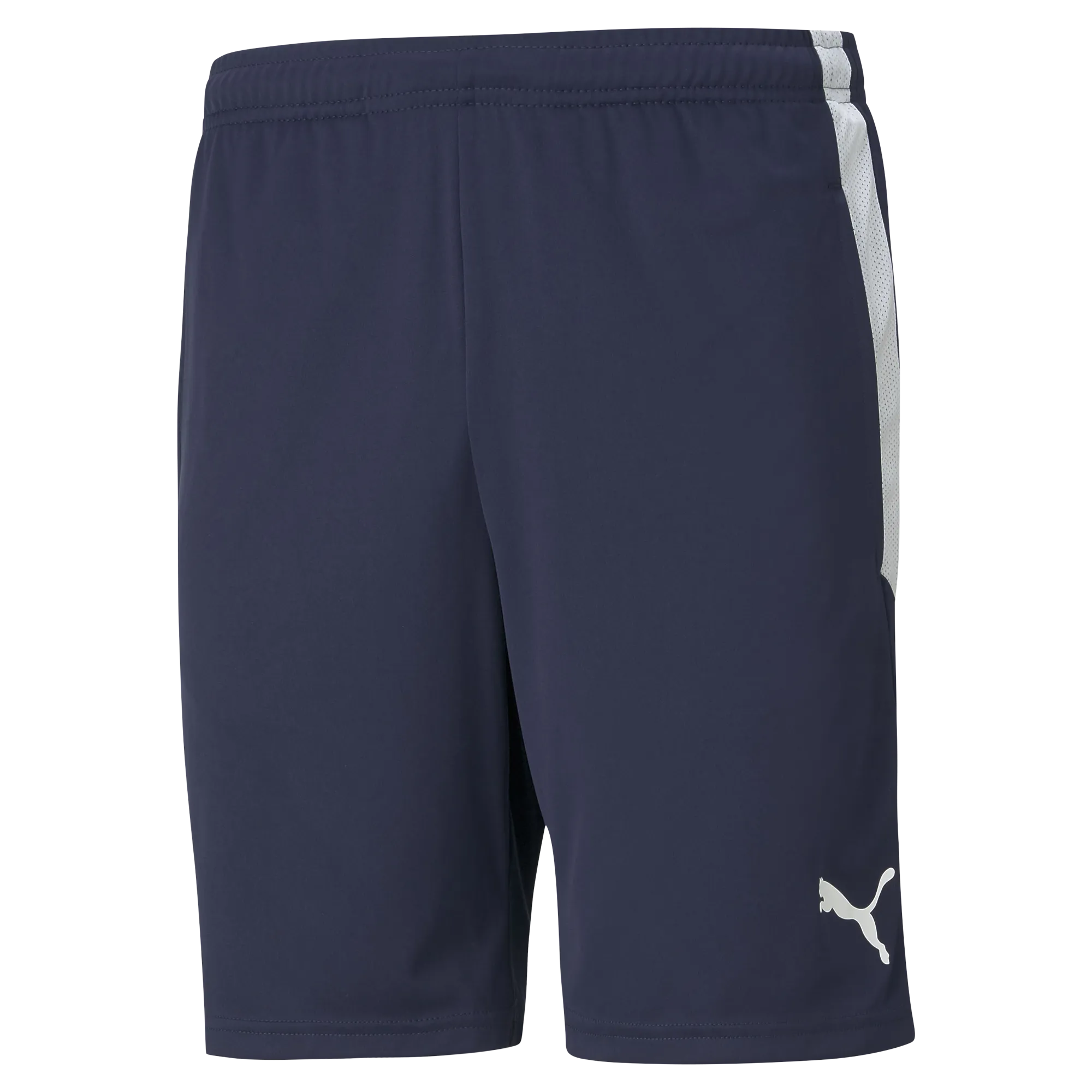 Puma Team Liga 25 Training Shorts