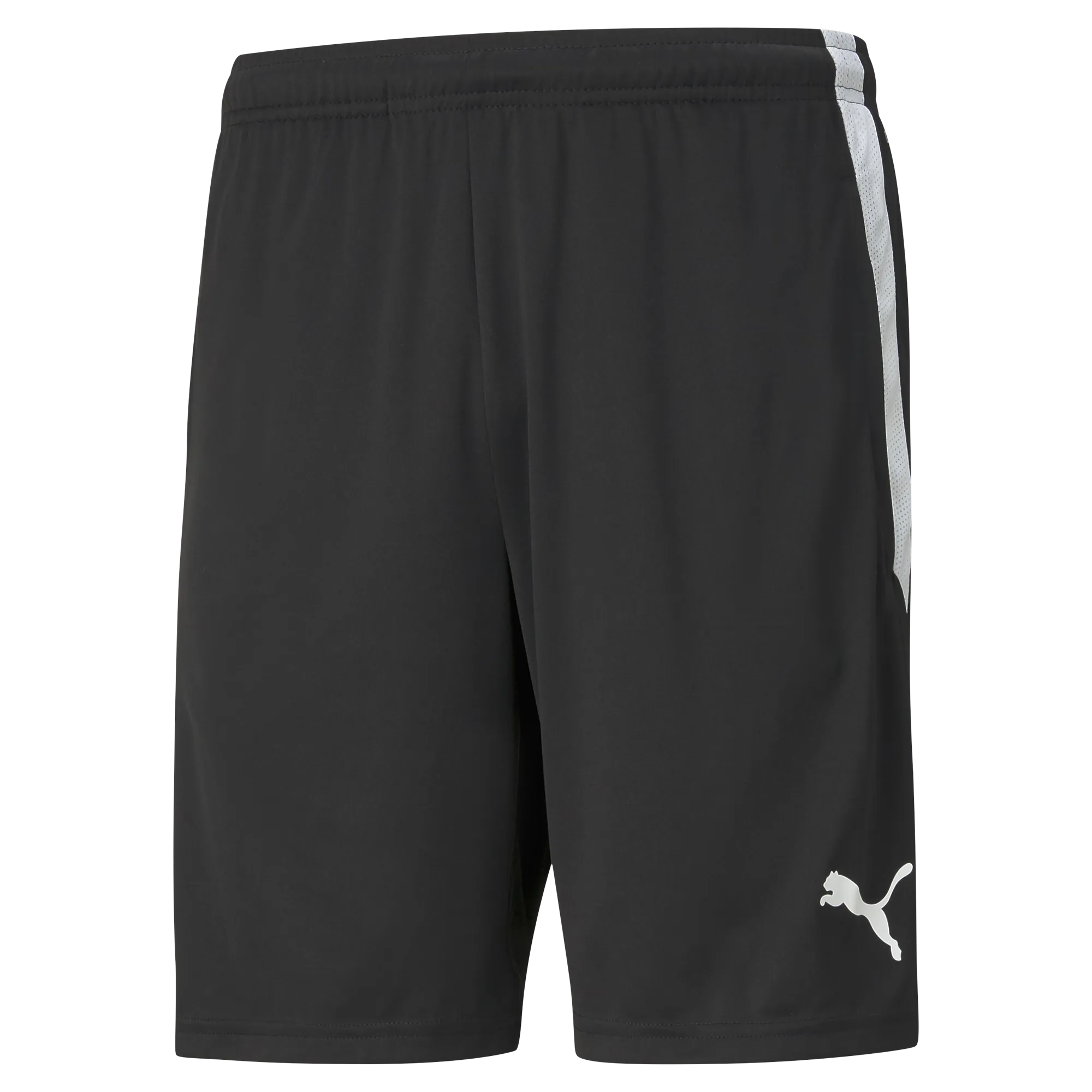 Puma Team Liga 25 Training Shorts